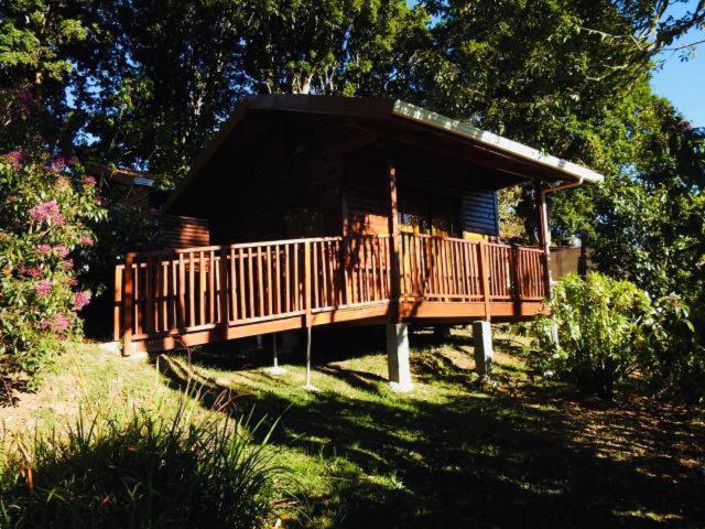 Cabanas San Gerardo San Gerardo de Dota Exteriér fotografie